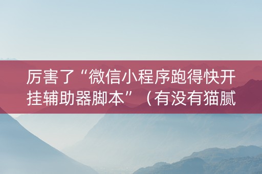 厉害了“微信小程序跑得快开挂辅助器脚本”（有没有猫腻)