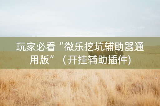 玩家必看“微乐挖坑辅助器通用版”（开挂辅助插件)