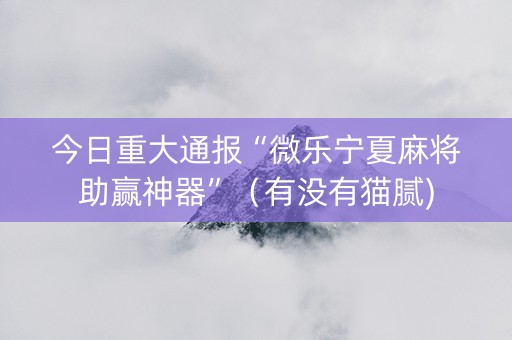 今日重大通报“微乐宁夏麻将助赢神器”（有没有猫腻)