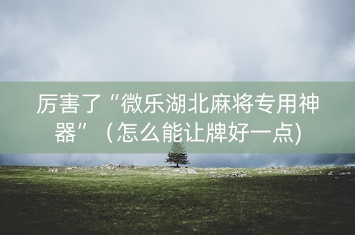 厉害了“微乐湖北麻将专用神器”（怎么能让牌好一点)