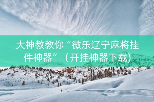 大神教教你“微乐辽宁麻将挂件神器”（开挂神器下载)