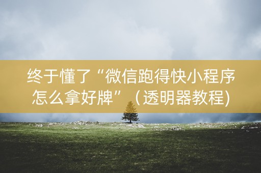 终于懂了“微信跑得快小程序怎么拿好牌”（透明器教程)