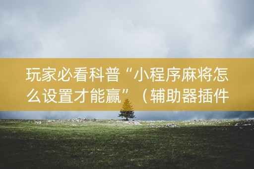 玩家必看科普“小程序麻将怎么设置才能赢”（辅助器插件)