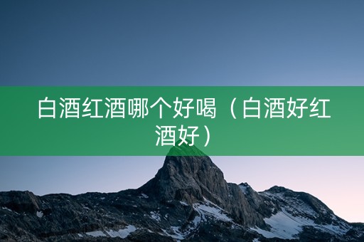 白酒红酒哪个好喝（白酒好红酒好）
