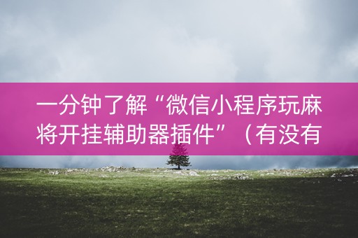 一分钟了解“微信小程序玩麻将开挂辅助器插件”（有没有猫腻)