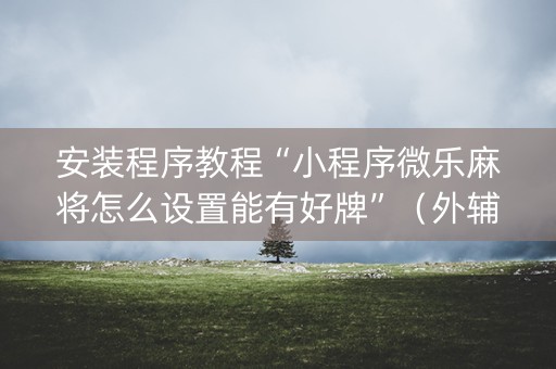安装程序教程“小程序微乐麻将怎么设置能有好牌”（外辅工具)