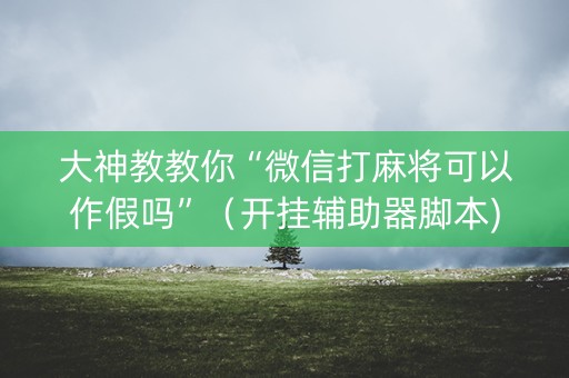 大神教教你“微信打麻将可以作假吗”（开挂辅助器脚本)