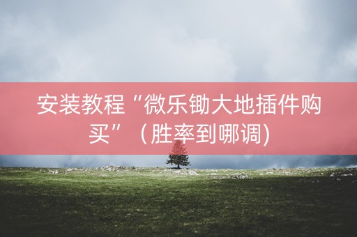 安装教程“微乐锄大地插件购买”（胜率到哪调)