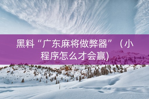 黑料“广东麻将做弊器”（小程序怎么才会赢)
