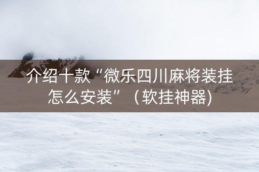 介绍十款“微乐四川麻将装挂怎么安装”（软挂神器)
