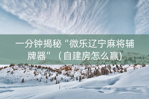 一分钟揭秘“微乐辽宁麻将辅牌器”（自建房怎么赢)