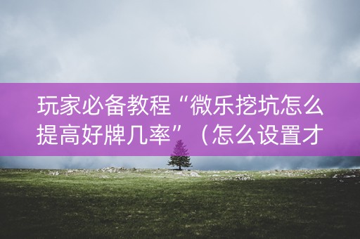 玩家必备教程“微乐挖坑怎么提高好牌几率”（怎么设置才能赢)