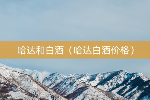 哈达和白酒（哈达白酒价格）