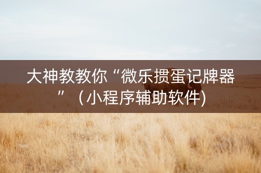 大神教教你“微乐掼蛋记牌器”（小程序辅助软件)
