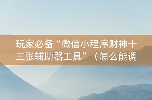 玩家必备“微信小程序财神十三张辅助器工具”（怎么能调好牌)