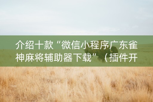介绍十款“微信小程序广东雀神麻将辅助器下载”（插件开挂免费AI)