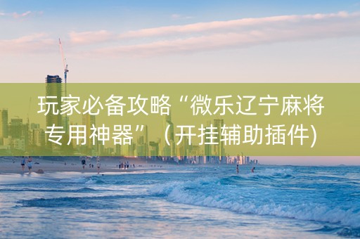 玩家必备攻略“微乐辽宁麻将专用神器”（开挂辅助插件)