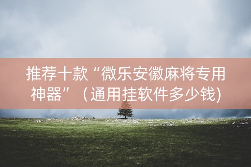 推荐十款“微乐安徽麻将专用神器”（通用挂软件多少钱)