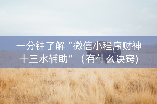 一分钟了解“微信小程序财神十三水辅助”（有什么诀窍)