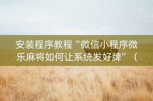 安装程序教程“微信小程序微乐麻将如何让系统发好牌”（如何让系统发好牌)