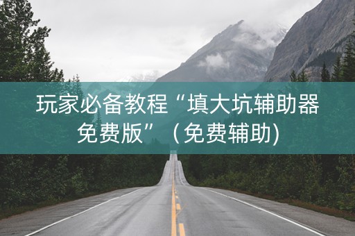 玩家必备教程“填大坑辅助器免费版”（免费辅助)
