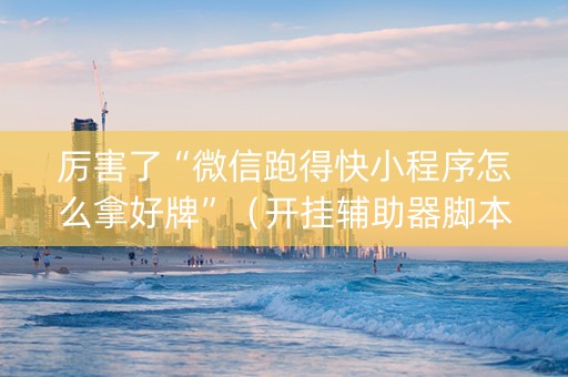 厉害了“微信跑得快小程序怎么拿好牌”（开挂辅助器脚本)