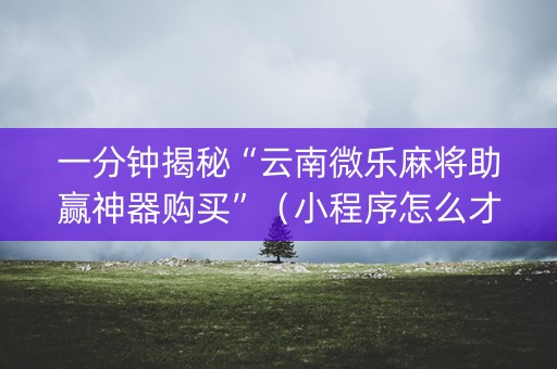 一分钟揭秘“云南微乐麻将助赢神器购买”（小程序怎么才会赢)