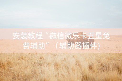 安装教程“微信微乐卡五星免费辅助”（辅助器插件)