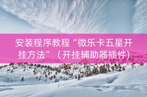 安装程序教程“微乐卡五星开挂方法”（开挂辅助器插件)