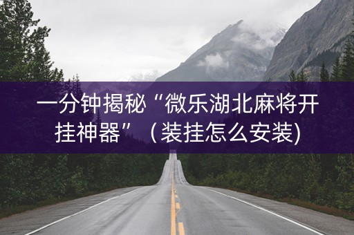 一分钟揭秘“微乐湖北麻将开挂神器”（装挂怎么安装)