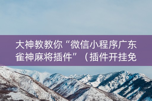 大神教教你“微信小程序广东雀神麻将插件”（插件开挂免费AI)