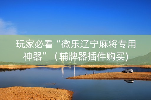 玩家必看“微乐辽宁麻将专用神器”（辅牌器插件购买)