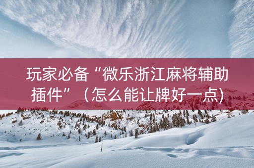 玩家必备“微乐浙江麻将辅助插件”（怎么能让牌好一点)