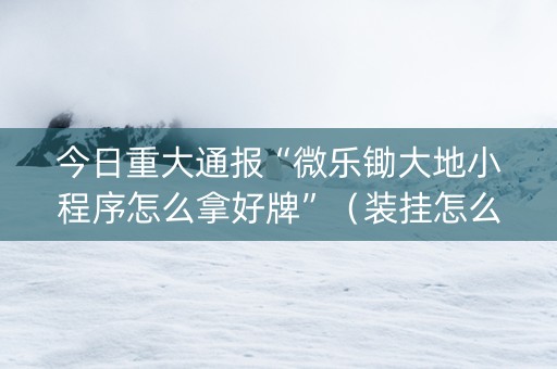 今日重大通报“微乐锄大地小程序怎么拿好牌”（装挂怎么安装)