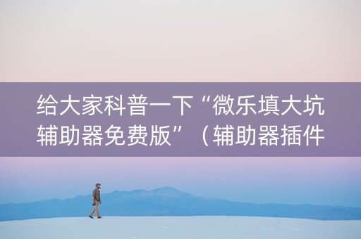给大家科普一下“微乐填大坑辅助器免费版”（辅助器插件)