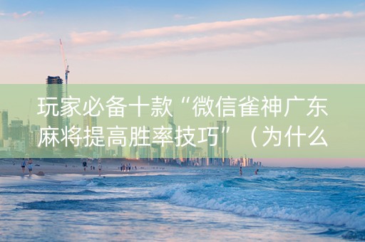 玩家必备十款“微信雀神广东麻将提高胜率技巧”（为什么有人一直赢)
