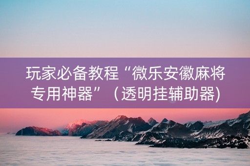 玩家必备教程“微乐安徽麻将专用神器”（透明挂辅助器)