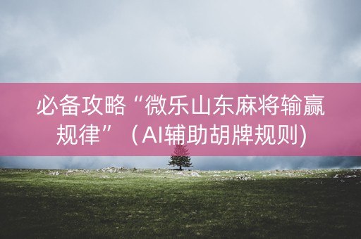 必备攻略“微乐山东麻将输赢规律”（AI辅助胡牌规则)