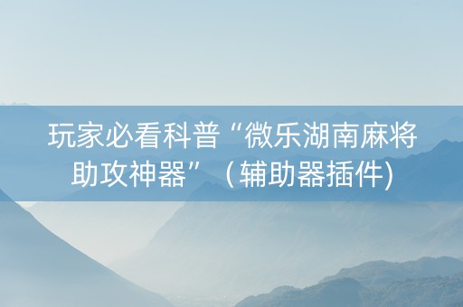 玩家必看科普“微乐湖南麻将助攻神器”（辅助器插件)