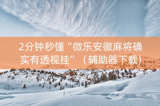 2分钟秒懂“微乐安徽麻将确实有透视挂”（辅助器下载)