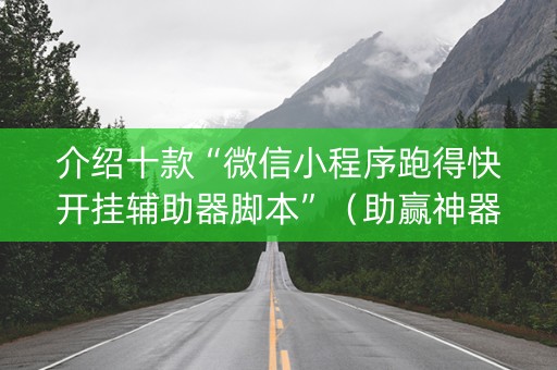 介绍十款“微信小程序跑得快开挂辅助器脚本”（助赢神器)