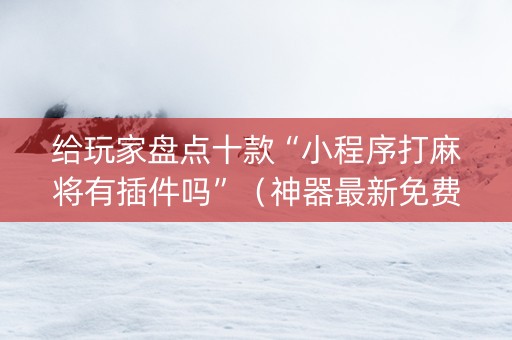 给玩家盘点十款“小程序打麻将有插件吗”（神器最新免费)