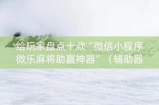 给玩家盘点十款“微信小程序微乐麻将助赢神器”（辅助器插件)