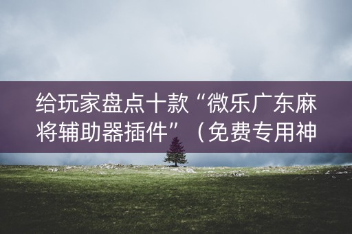 给玩家盘点十款“微乐广东麻将辅助器插件”（免费专用神器)