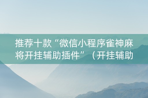 推荐十款“微信小程序雀神麻将开挂辅助插件”（开挂辅助器脚本)