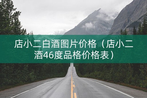 店小二白酒图片价格（店小二酒46度品格价格表）