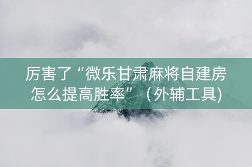 厉害了“微乐甘肃麻将自建房怎么提高胜率”（外辅工具)