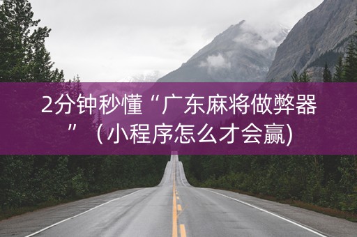 2分钟秒懂“广东麻将做弊器”（小程序怎么才会赢)