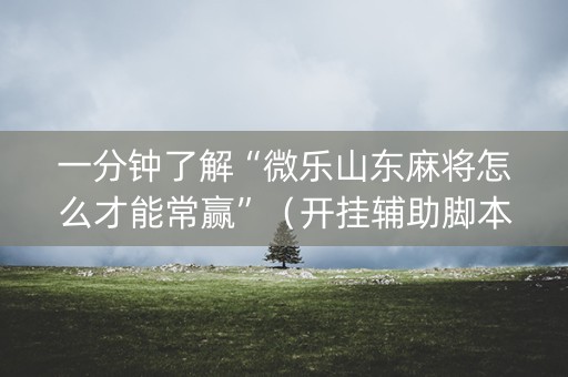 一分钟了解“微乐山东麻将怎么才能常赢”（开挂辅助脚本)