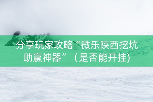 分享玩家攻略“微乐陕西挖坑助赢神器”（是否能开挂)